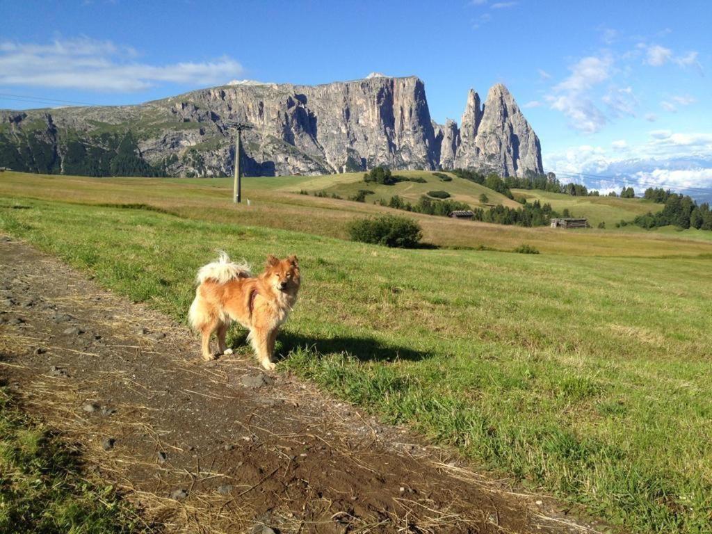 Siusi Sciliar Apartment Dış mekan fotoğraf